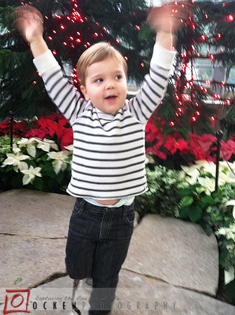 EvanXmasFrolic2011