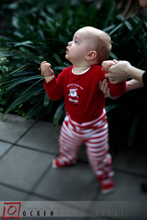 Ocken_xmas_03