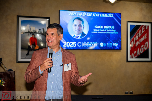 029 2025 CIO of the Year Candidates