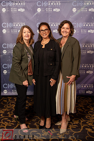 166 2025 CIO of the Year Candidates