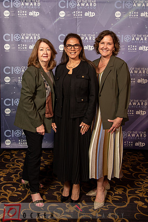 167 2025 CIO of the Year Candidates
