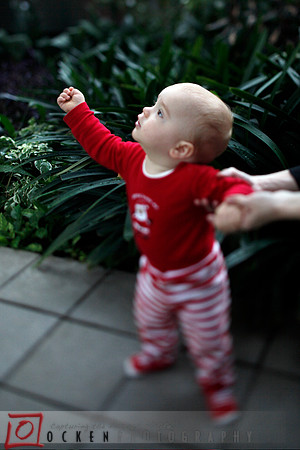 Ocken_xmas_01