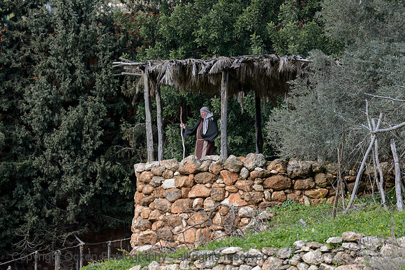 957 Nazareth Village