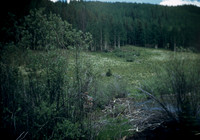 2025-08-21-0009