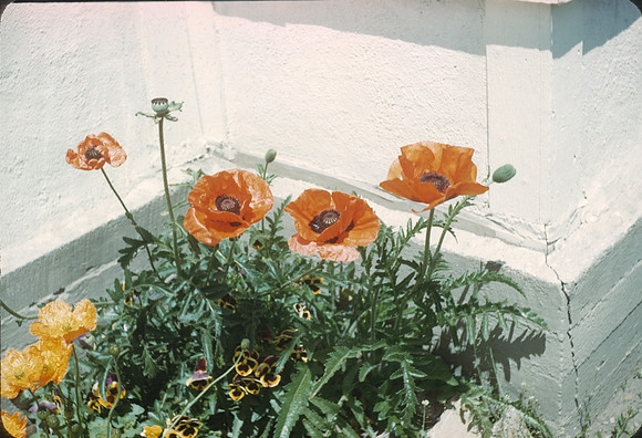 2025-08-22-0008