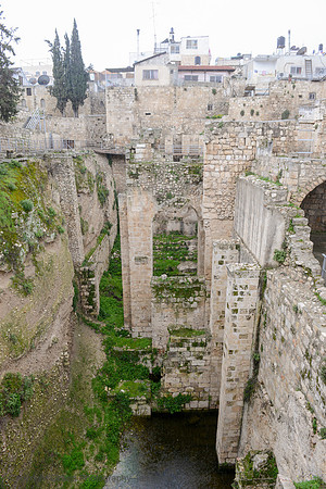 482 Pools of Bethesda