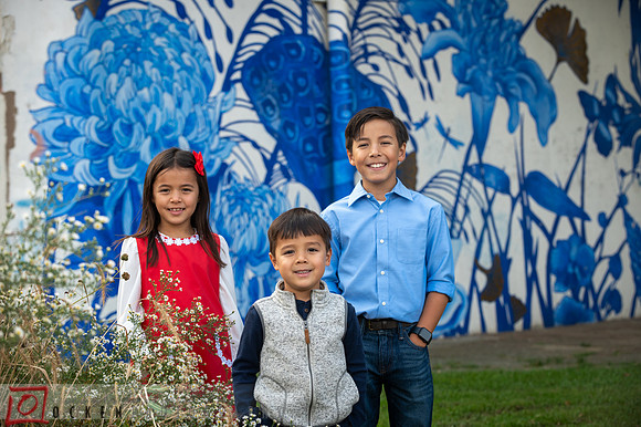 008 2024 Wongs Family