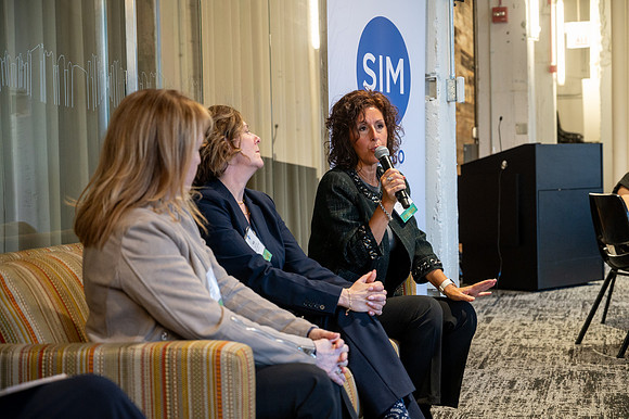 294 WIT Panel Discussion