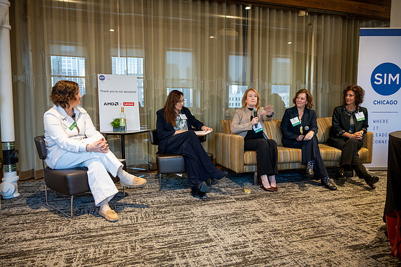 278 WIT Panel Discussion