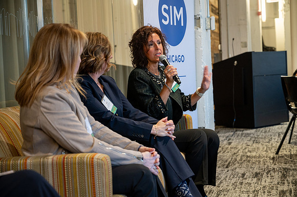 293 WIT Panel Discussion