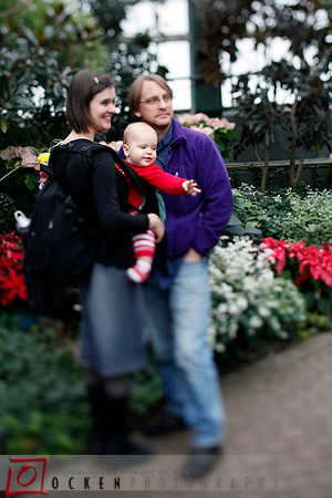 Ocken_xmas_06