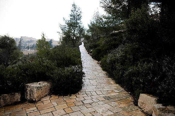 0099 Israel