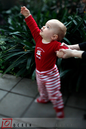 Ocken_xmas_02