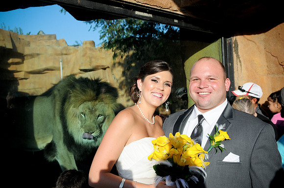 285 Gustafson Cavaliere Wedding