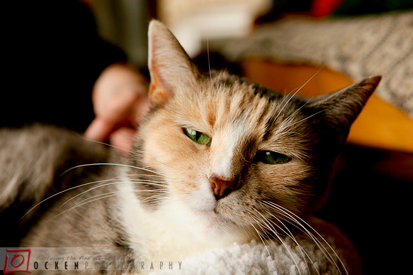 Brunch_120311_05