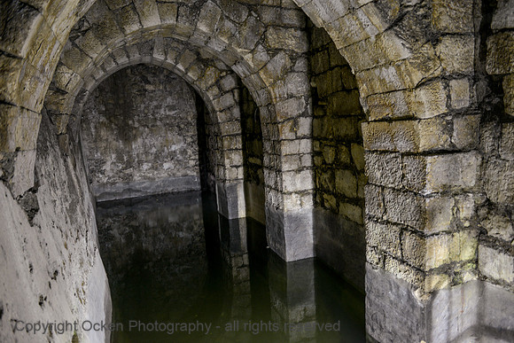 481 Pools of Bethesda