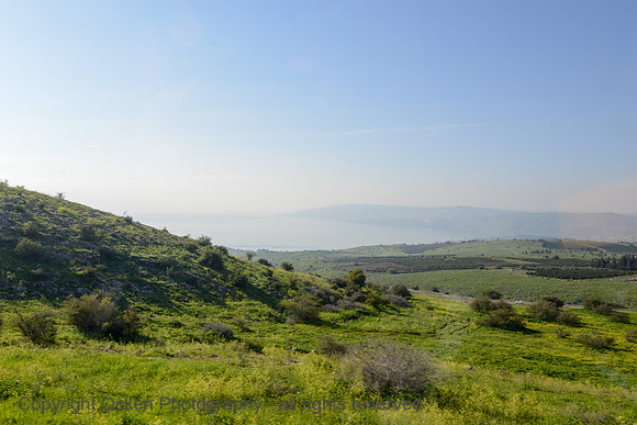 1241 Drive to the Golan Heights