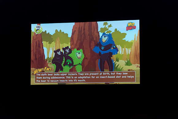 001 Wild Kratts Live