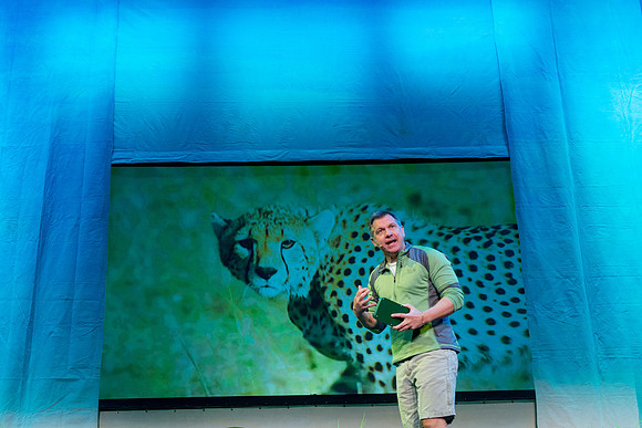 038 Wild Kratts Live