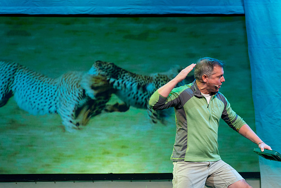 044 Wild Kratts Live