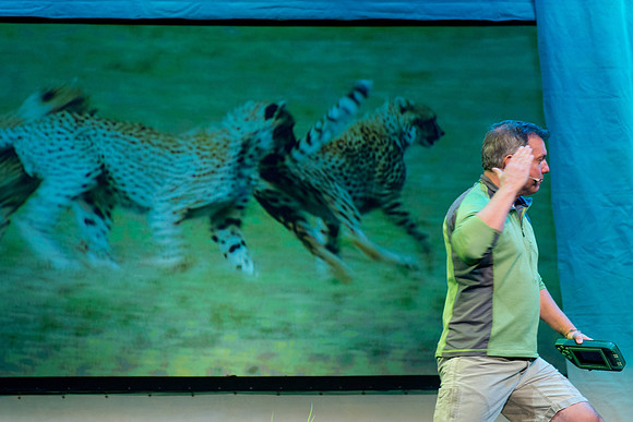 045 Wild Kratts Live