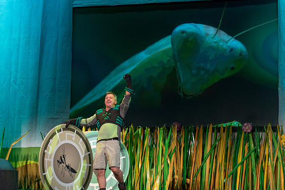 104 Wild Kratts Live