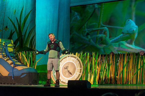 107 Wild Kratts Live