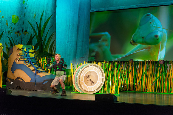110 Wild Kratts Live