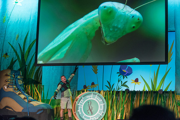 113 Wild Kratts Live