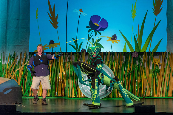 120 Wild Kratts Live