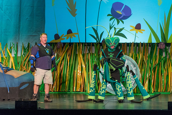 121 Wild Kratts Live