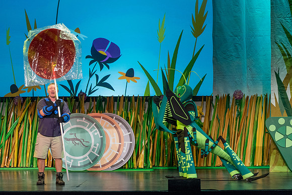 125 Wild Kratts Live