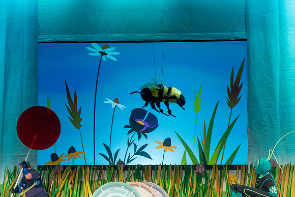 138 Wild Kratts Live