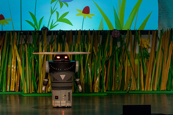 148 Wild Kratts Live