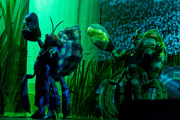 202 Wild Kratts Live