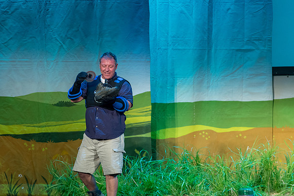 240 Wild Kratts Live