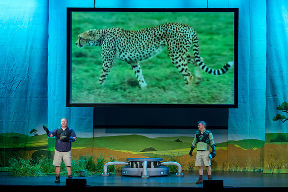243 Wild Kratts Live