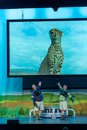 244 Wild Kratts Live