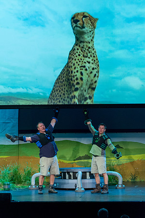245 Wild Kratts Live
