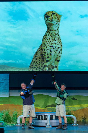 246 Wild Kratts Live