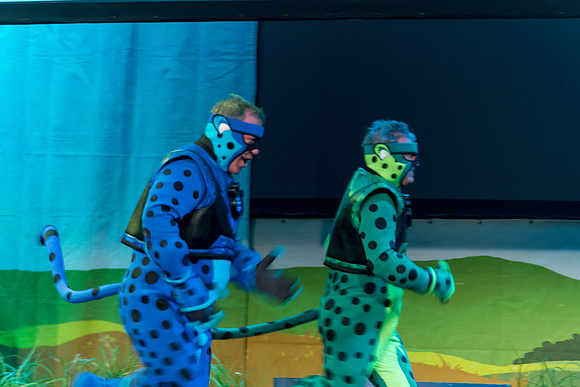 263 Wild Kratts Live