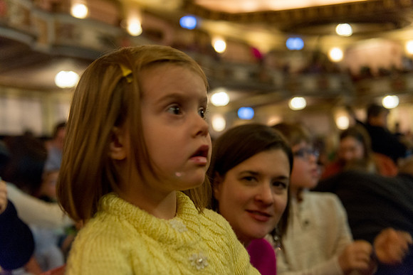 264 Wild Kratts Live