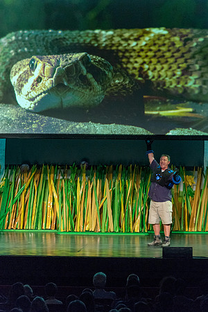 161 Wild Kratts Live