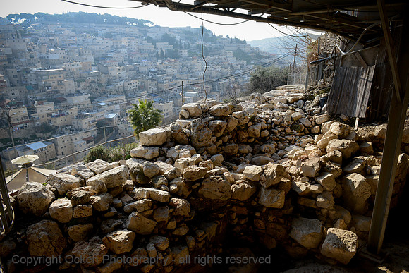 262 City of David