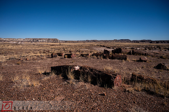 256 2021 Grand Canyon