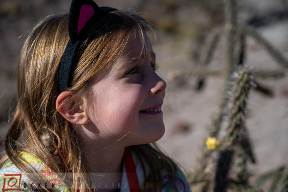 240 2021 Grand Canyon