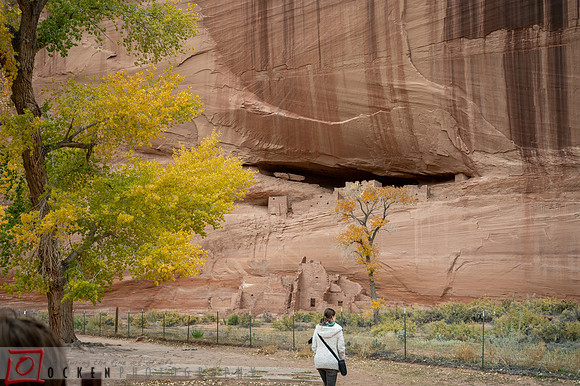 077 2021 Grand Canyon