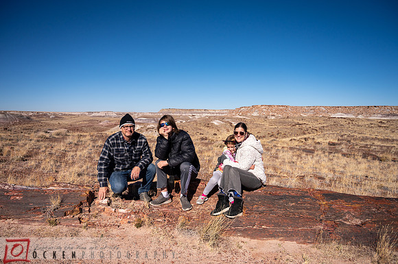 248 2021 Grand Canyon