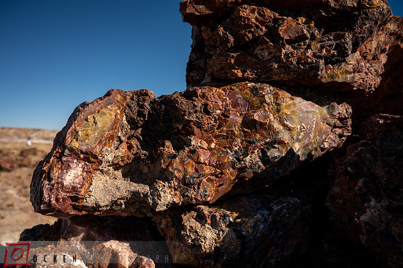 230 2021 Grand Canyon