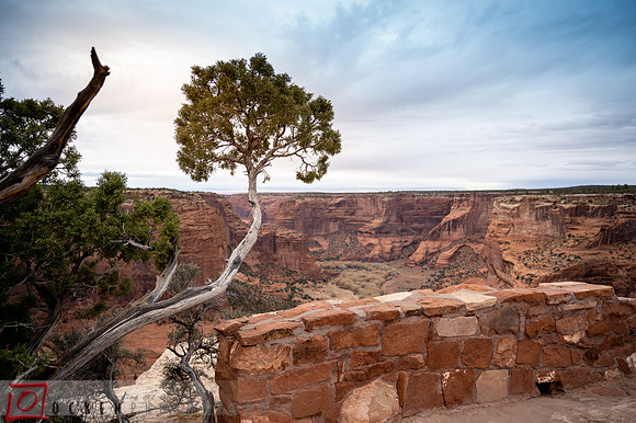 120 2021 Grand Canyon